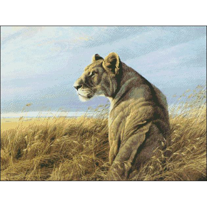 Embroidery Vs Cross Stitch - Dw552 Kreuzstich-Kits Stich Stickerei Kreuz stich